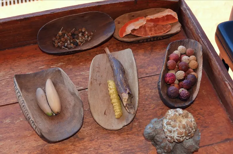 Native Foods Of Indigenous
