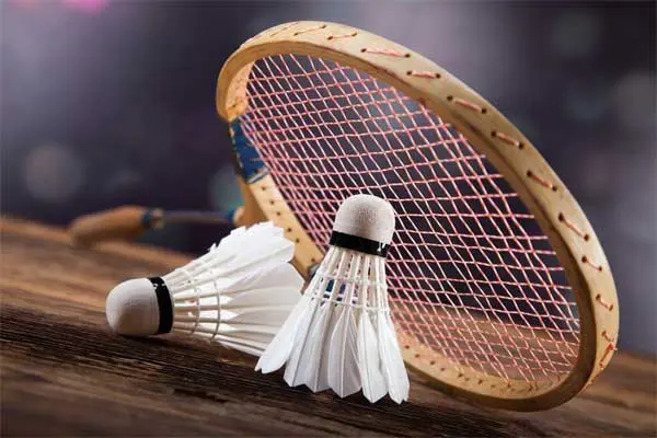 shuttle bat