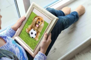 Customized Pet Tribute Options