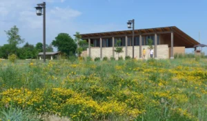 Benefits of native plant landscaping